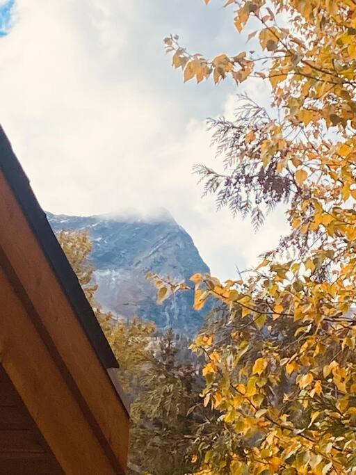 Ski-In Chalet: Private Hot Tub, Bonus Bunk House Fernie Exterior photo